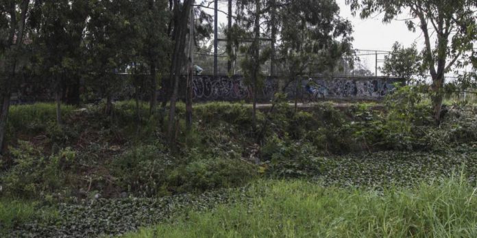 El puente vevicular de Sheinbaum que amenaza un area natural protegida en Xochimilco