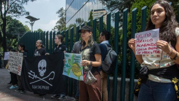 El historial de contaminación y violaciones a derechos humanos de Grupo México