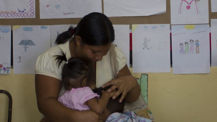 Crece el número de personas desnutridas y sin seguridad alimentaria en México