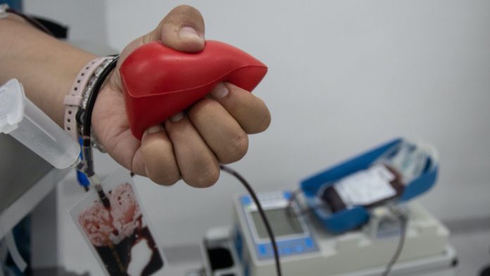 Cinco empresas del “cártel de la sangre” son inhabilitadas para vender al gobierno